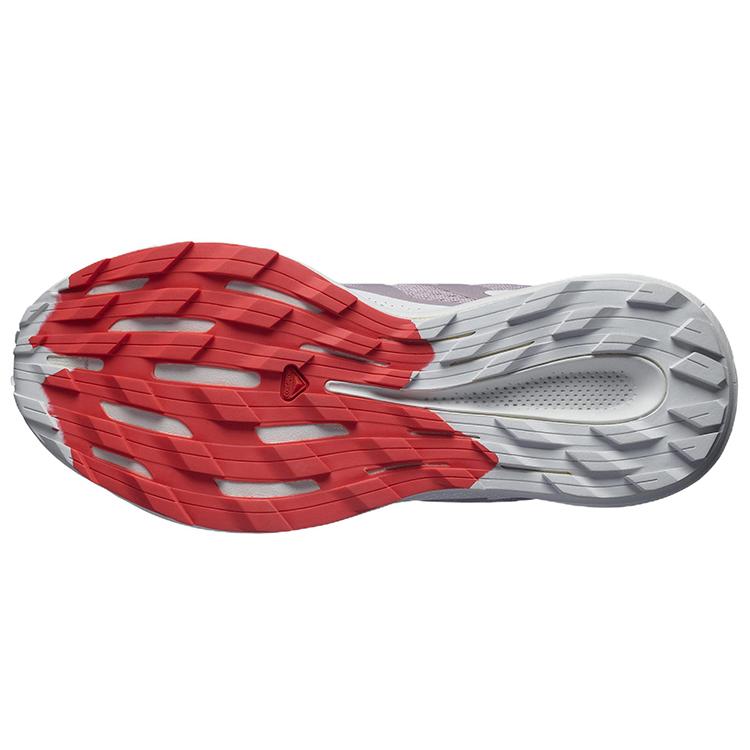 SALOMON Women's Pulsar Trail 'Quail Lunar Rock' 416046