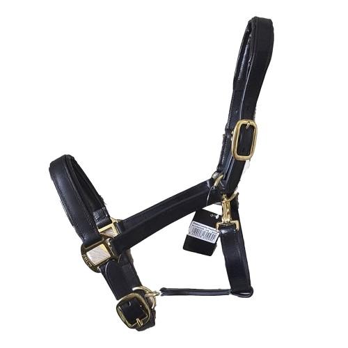 Gallop Premium Leather Padded Horse Headcollar