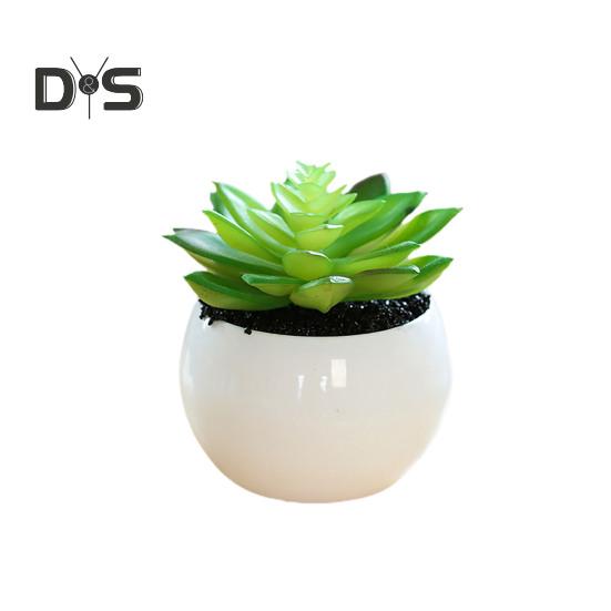 Plante succulente artificielle en plastique, Anti-décoloration, belle petite plante en pot, ornement de Table