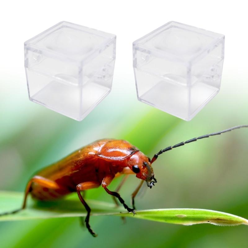 6 szt. Przezroczyste Pudełka-Lupy na Owady Dla Dzieci Eksploracja Natury Kwadratowy Wzór z Soczewką Obserwacyjną Przybory do Klasy Naukowej