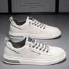 Men's shoes spring and autumn 2025 new breathable youth board shoes Korean version trend niche versatile low-top shoes lightweight board shoes