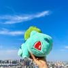 Pink Frog Seed Doll Pokémon Garlic Toad Large Frog Pillow Exchange Doll