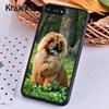 Krajews CHOW CHOW dog Art Print Phone Case Cover For iPhone 17 Air 16 15 14 plus 11 12 13 pro max Plus coque Fundas