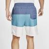 Nike Sports Shorts Men's Moderate cj4488-462