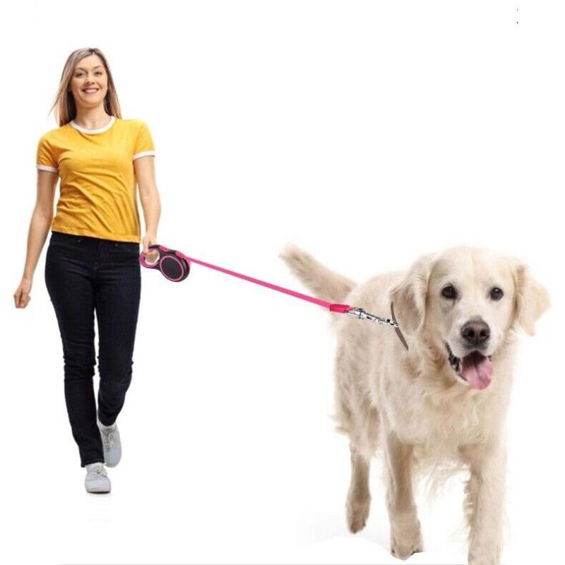 Neue ausziehbare Hundeleine, Trainingsleine fr Haustiere, 3 m, 5 m, 8 m  lang, max. 50 kg, ausziehbar  zu niedrigen Preisen im Onlineshop Joom  kaufen