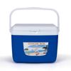Outdoor Insulated Cooler Box Lunch Box for Camping Picnic Beach Car