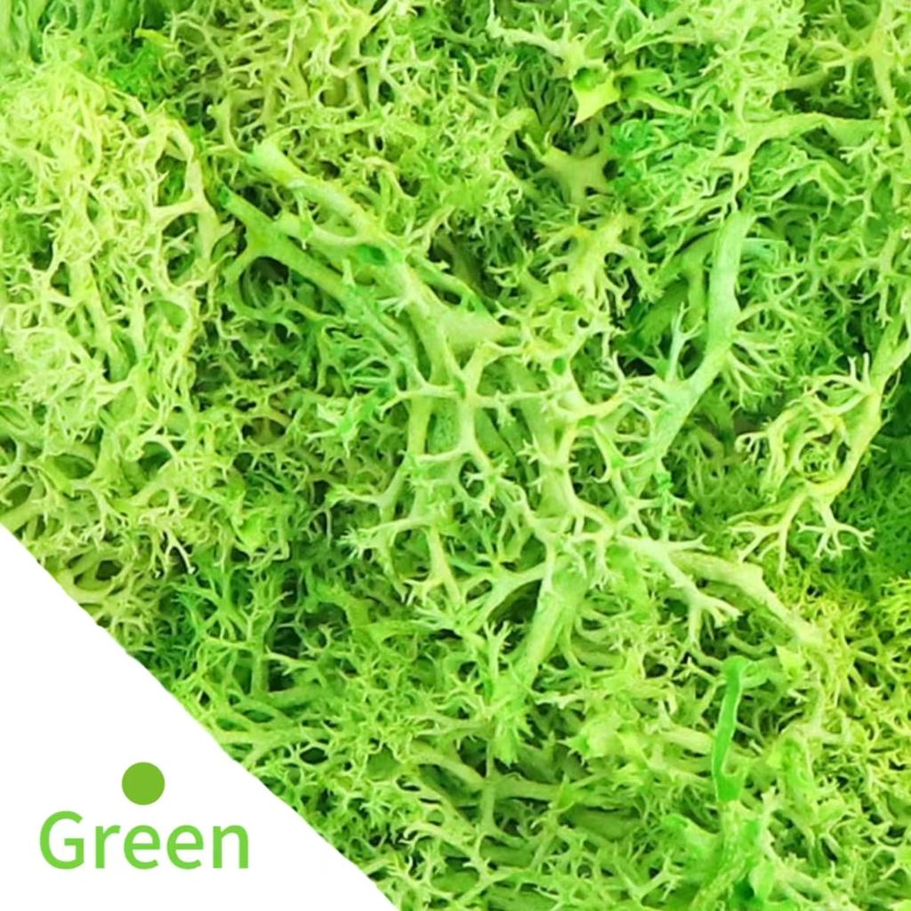 20g Artificial Green Moss Plants Eternal Life Grass Mini Landscape Fake Grass DIY Crafts for Home Living Room Garden Decor