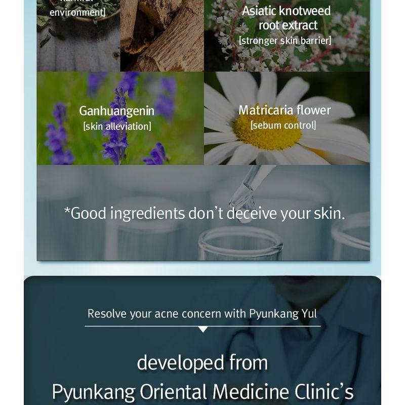 Pyunkang Yul Akne-Gesichtsreiniger 120 ml