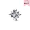 Sparkling Polaris Charm 793591c01