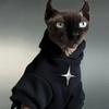 Sweat à capuche d'hiver chaud pour chat Ragdoll Devon Rex Sphynx British Shorthair - Pull épais pour animal de compagnie doublé polaire