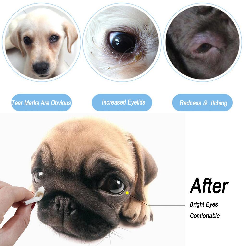 2PC Pet Cat Dog Remove Tear Mark Artifact Eye Cleaning Pet Mokrý papírový ručník