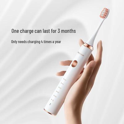FT7205 Sonic Electric Toothbrush CN Plug (adapter Included)