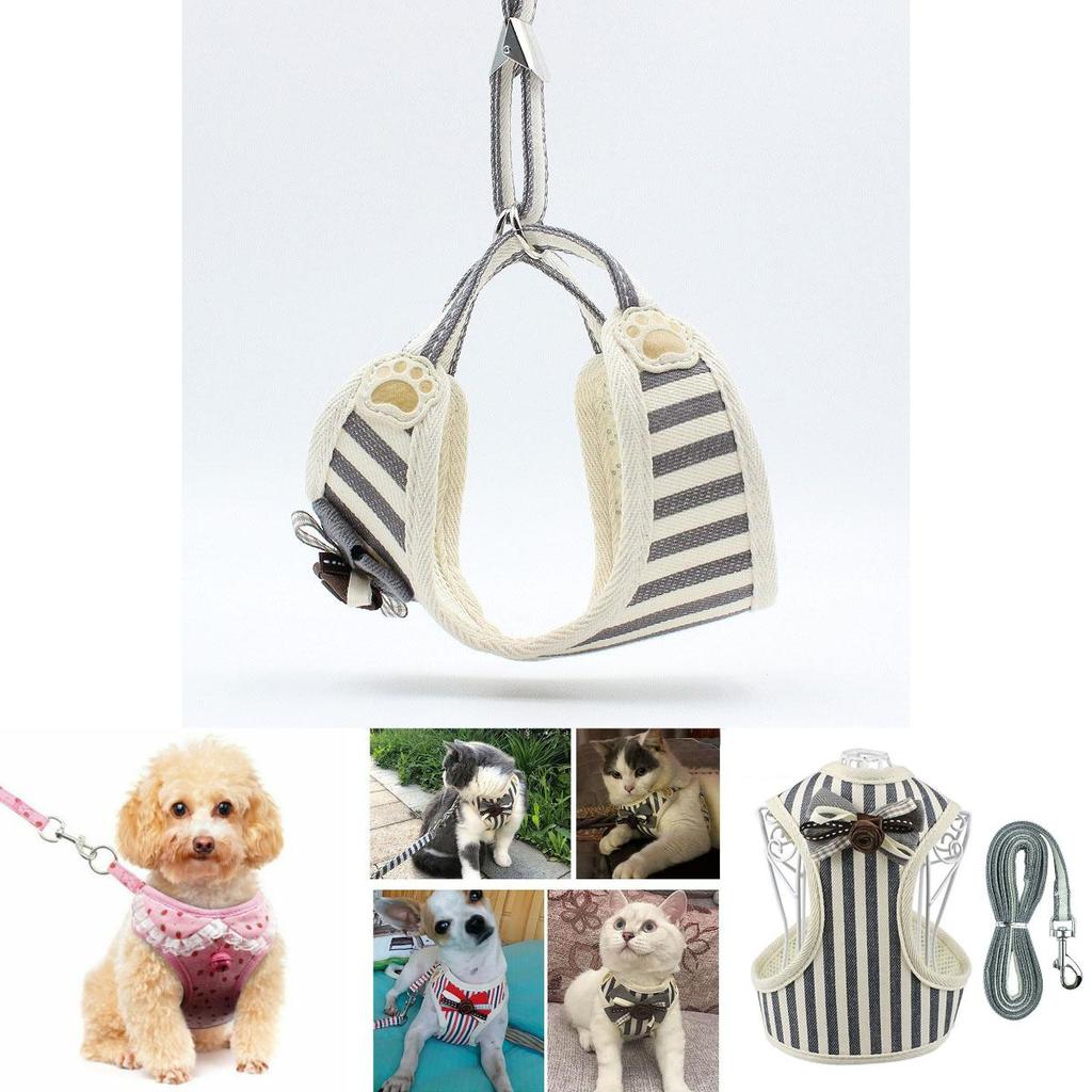 Soft Padded Dog Harness With Easy Hook And Loop Closure For Small And Medium Dogs