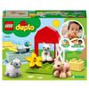 LEGO Duplo My Home Animals 10949
