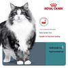 Royal Canin IH34 Adult Hairball Care Dry Cat Food
