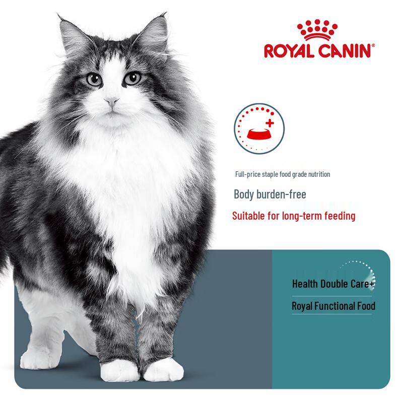 Royal Canin IH34 Adult Hairball Care Dry Cat Food
