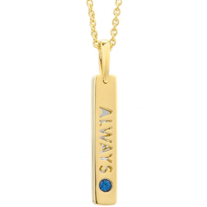 Collier - Secrecy - P7162CDAWWC03 - Métal argenté - Cristal - Design minimaliste