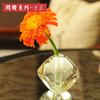 European Crystal Glass Small Vase, Fresh Tabletop Ornaments, Flower Plant, Transparent Bottle, Modern Home Decoration Accessorie