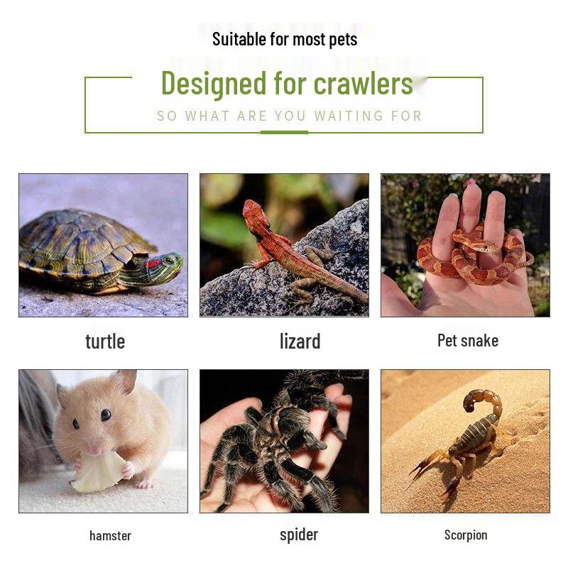 Platformă pentru Broaște Țestoase la Soare și Ascunzătoare: Loc de odihnă plutitor doi-în-unu și rampă de cățărare pentru țestoase cu tâmple roșii și țestoase de iaz chinezești