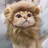 Cute Lion Mane Cat Wig Hat Dog and Cat Small Dog Pet Cat Decor Accessories Lion Wig Fancy Hair Cap Pet Supplies