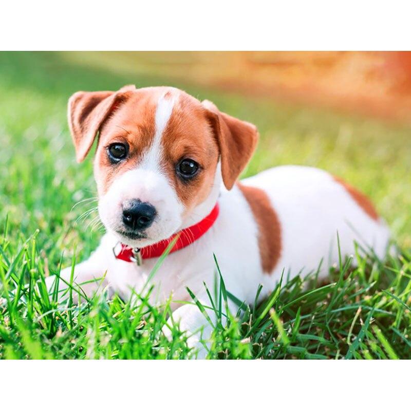 New 5D DIY Diamond Painting Dog Flower Diamond Embroidery Animal Cross Stitch Full Round Drill Home Decor Manual Art Gift