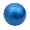 PVC Yoga Ball for Adults Fitness Exercise and Massage Anti-Burst Durable Non-Slip Surface for Home Gym and Physical Therapy Use