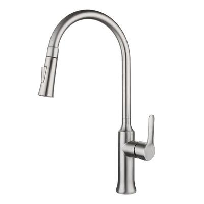 TLXT Stainless Steel Kitchen Pull-Out Faucet