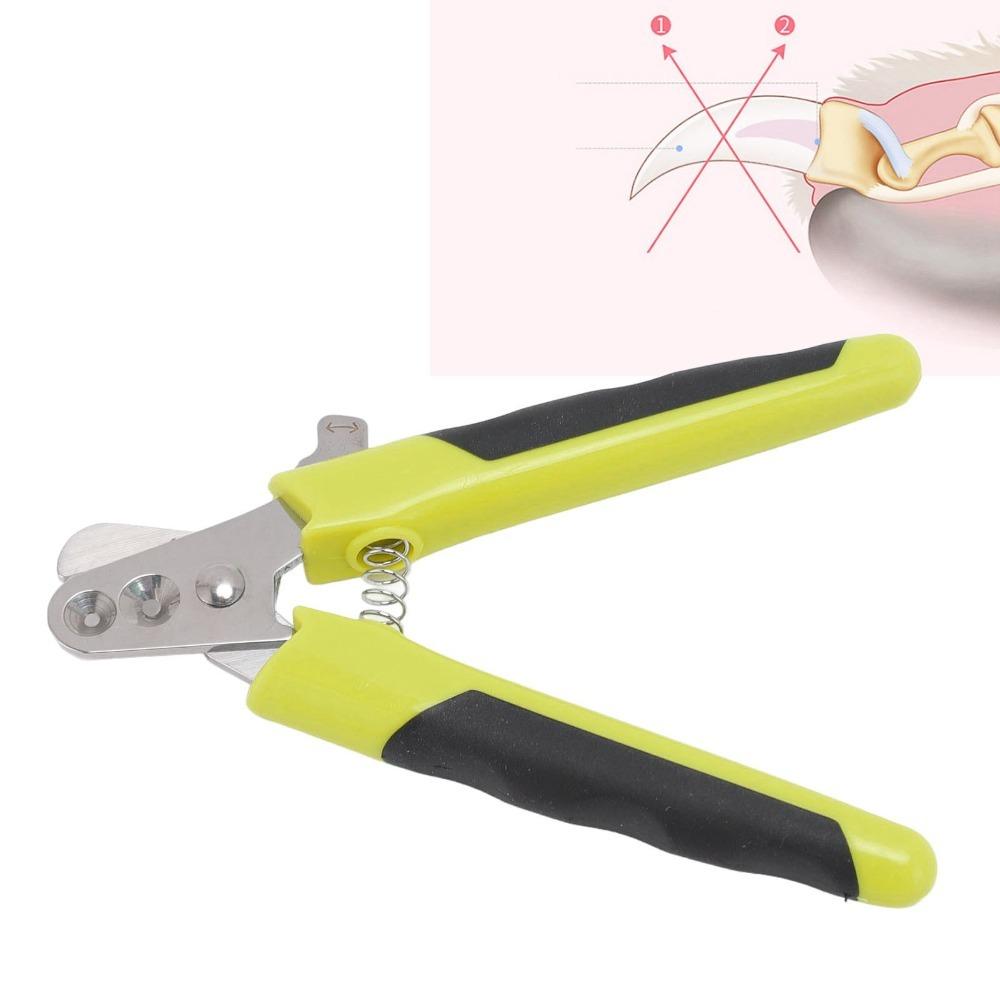 Metal Blades Pet Nail Clipper Dual Hole Dual Hole Dog Nail Cutter Daily Pet Beauty Care