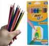 BIC BUNTSTIFTE 12 FARBEN. TROPICOLORS 2503