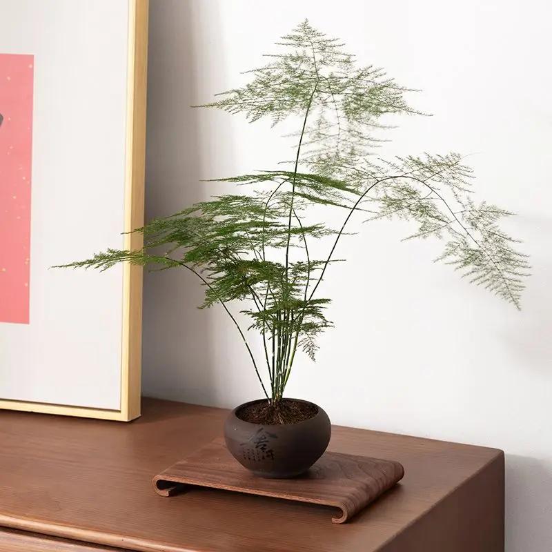 Ořechový suchý pěnový stůl čajový tác Čínský domácí malý suchý pěnový stůl z masivního dřeva jednoduchý dřevěný talíř