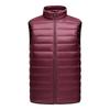 Down Jacket Men's Vest Fashion Stand-up Collar Vest Light Down Vest Men's Thermal Top