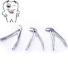 7pcs Childrens Stainless Steel Dental Extraction Forceps Pliers Kit Dental Surgical Tooth Extraction Forcep Pliers Kit