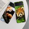 Popular Red Pandas Phone Case For Samsung Z Flip 7 6 5G Galaxy Z Flip 5 4 3 Black Hard Cell Cover Luxury PC Shell Coque