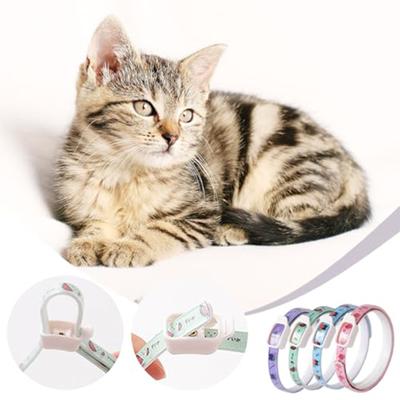 Katte – Katteliner og halsbånd