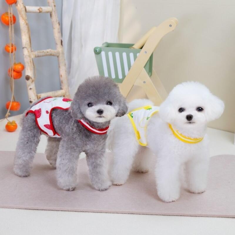 

Fruit Halter Neck Dog Neutering Suit Red