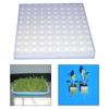 100Pcs/sheet Hydroponic Plant Sponge Garden Cultivation Seedling Soilless Culture Planting Tools Vegetables Nursery Pots Trays