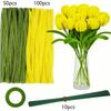 161 Stuks DIY Tulpen Boeket Maakset Pluizige Chenilledraden Knutselmaterialen Buigbaar Draad Bulk voor Kunstles Valentijnsdag Moederdag Cadeau