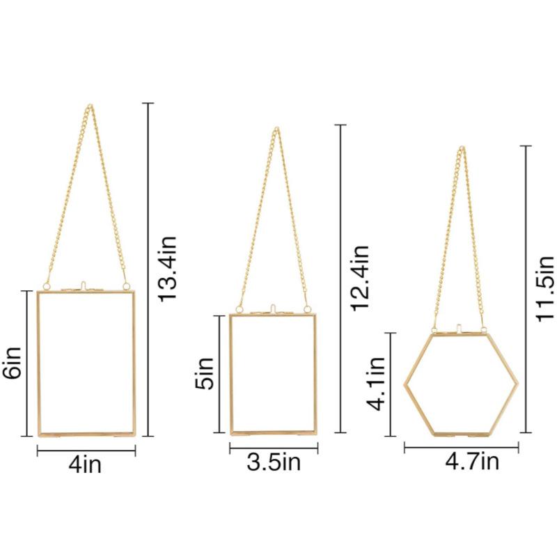 Three-Piece Brass & Glass Hanging Wall Frame Set for Plants & Photos
