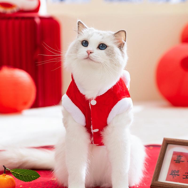 New Year's cat clothes, festive Chinese New Year, auspicious New Year greetings, warm cats, kittens, puppies, dogs, two-legged clothes, pet clothing