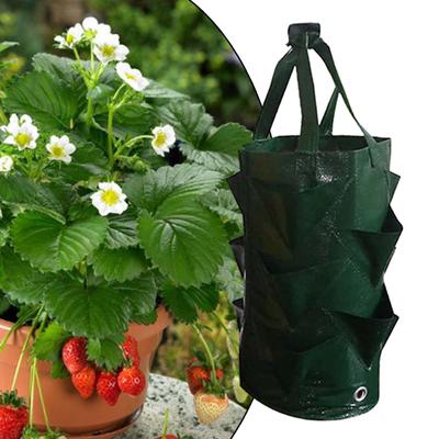 3 Gallons Vegetable Planting Bags Foldable Grow Planter Strawberry Growing Bag for Growing Tomato Vegetables Potato Garden
