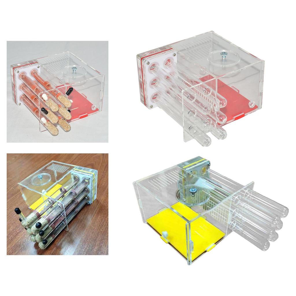 Nido Casa Formiche Nido Umido Scatola Nido Laboratorio Fai da Te Habitat per la Festa dei Bambini Casa Osservazione Scientifica Camera da Letto Casa