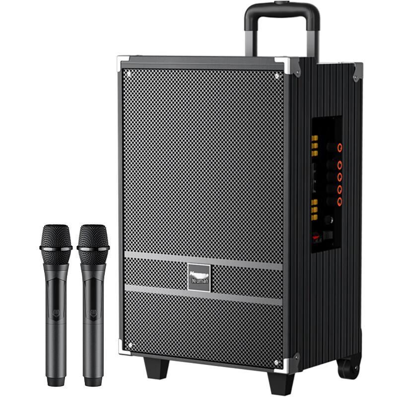 Newmine N519 12-inch Portable Bluetooth Speaker with Dual Mics CN plug (adapter included) (CN version)