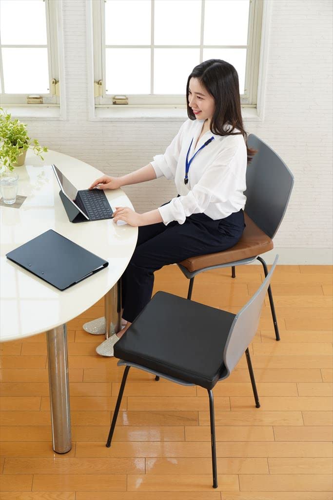 Golden Eagle Leather Made In 40x40x5 Cushion, Japan, Low-Rebound, High-Rebound Urethane, Column, (Black, 2)