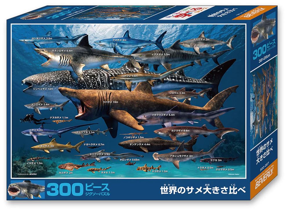 Beverly 300-Piece Jigsaw Puzzle: Sharks of the World Size Comparison (26 X 38 Cm) - Made In Japan