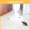 Invisible Transparent Mouse Trap Mat For Catching Rodents In Home Use Strong Adhesive Sticky Pad For Rat Control X 28cm)