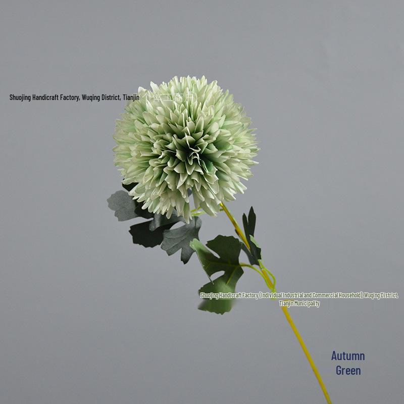 Green Onion Ball Single Stem Chrysanthemum Gift Box Bouquet and Floor Stand Accessories