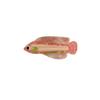 Marine Hair Clip Acetic Acid Shark Clip New Fish Hair Claws  Girls Gift