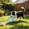 Dog Rope Toy Rubber Ring Dog Chew Toy with Braided Cloth Strips Dog Tug of War Rope Toy for Fetch Toss-and-Catch