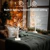 White Birch Tree with LED Lights, Lighted Birch Tree for Tabletop, USB/Battery Operated 24 LED Warm White Tree, 2FT Mini Christmas Tree Decor for