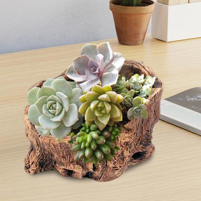 Baumstumpf Blumentopf Zement Dekorative Pflanzgefäß Schreibtisch Klein Rustikaler Pflanztopf für Sukkulenten Kaktus Fensterbank Regaldeko